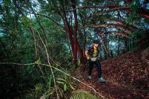 BIB: 
                            <button type="button" onclick="openModal(24789528)" class="btn btn-primary btn-sm float-right btn-popup" data-toggle="modal" data-target=".modal-high-quality">
                        <i class="fas fa-shopping-cart"></i> Add to Cart
                    </button>
                                            <button type="button" onclick="isThisMe(24789528, true)" class="btn btn-success btn-sm float-right btn-popup btn-isme hidden" data-toggle="tooltip" data-placement="bottom" title="นี่คือรูปของคุณใช่ไหม คลิกที่นี่เพื่อเอาเข้าอัลบั้ม">
                        <i class="fas fa-plus"></i> Add to album
                    </button>
                    <button type="button" onclick="isThisMe(24789528, false)" class="btn btn-warning btn-sm float-right btn-popup btn-isnotme hidden">
                        <i class="fas fa-ban"></i> Remove from album
                    </button>