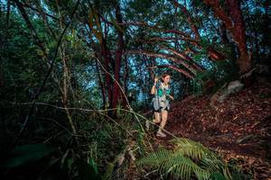 BIB: 
                            <button type="button" onclick="openModal(24786496)" class="btn btn-primary btn-sm float-right btn-popup" data-toggle="modal" data-target=".modal-high-quality">
                        <i class="fas fa-shopping-cart"></i> Add to Cart
                    </button>
                                            <button type="button" onclick="isThisMe(24786496, true)" class="btn btn-success btn-sm float-right btn-popup btn-isme hidden" data-toggle="tooltip" data-placement="bottom" title="นี่คือรูปของคุณใช่ไหม คลิกที่นี่เพื่อเอาเข้าอัลบั้ม">
                        <i class="fas fa-plus"></i> Add to album
                    </button>
                    <button type="button" onclick="isThisMe(24786496, false)" class="btn btn-warning btn-sm float-right btn-popup btn-isnotme hidden">
                        <i class="fas fa-ban"></i> Remove from album
                    </button>