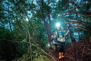 BIB: 
                            <button type="button" onclick="openModal(24788077)" class="btn btn-primary btn-sm float-right btn-popup" data-toggle="modal" data-target=".modal-high-quality">
                        <i class="fas fa-shopping-cart"></i> Add to Cart
                    </button>
                                            <button type="button" onclick="isThisMe(24788077, true)" class="btn btn-success btn-sm float-right btn-popup btn-isme hidden" data-toggle="tooltip" data-placement="bottom" title="นี่คือรูปของคุณใช่ไหม คลิกที่นี่เพื่อเอาเข้าอัลบั้ม">
                        <i class="fas fa-plus"></i> Add to album
                    </button>
                    <button type="button" onclick="isThisMe(24788077, false)" class="btn btn-warning btn-sm float-right btn-popup btn-isnotme hidden">
                        <i class="fas fa-ban"></i> Remove from album
                    </button>