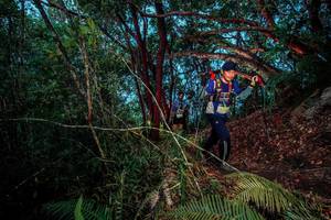 BIB: 
                            <button type="button" onclick="openModal(24787023)" class="btn btn-primary btn-sm float-right btn-popup" data-toggle="modal" data-target=".modal-high-quality">
                        <i class="fas fa-shopping-cart"></i> Add to Cart
                    </button>
                                            <button type="button" onclick="isThisMe(24787023, true)" class="btn btn-success btn-sm float-right btn-popup btn-isme hidden" data-toggle="tooltip" data-placement="bottom" title="นี่คือรูปของคุณใช่ไหม คลิกที่นี่เพื่อเอาเข้าอัลบั้ม">
                        <i class="fas fa-plus"></i> Add to album
                    </button>
                    <button type="button" onclick="isThisMe(24787023, false)" class="btn btn-warning btn-sm float-right btn-popup btn-isnotme hidden">
                        <i class="fas fa-ban"></i> Remove from album
                    </button>