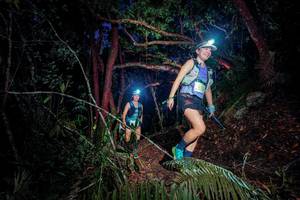 BIB: 
                            <button type="button" onclick="openModal(24784738)" class="btn btn-primary btn-sm float-right btn-popup" data-toggle="modal" data-target=".modal-high-quality">
                        <i class="fas fa-shopping-cart"></i> Add to Cart
                    </button>
                                            <button type="button" onclick="isThisMe(24784738, true)" class="btn btn-success btn-sm float-right btn-popup btn-isme hidden" data-toggle="tooltip" data-placement="bottom" title="นี่คือรูปของคุณใช่ไหม คลิกที่นี่เพื่อเอาเข้าอัลบั้ม">
                        <i class="fas fa-plus"></i> Add to album
                    </button>
                    <button type="button" onclick="isThisMe(24784738, false)" class="btn btn-warning btn-sm float-right btn-popup btn-isnotme hidden">
                        <i class="fas fa-ban"></i> Remove from album
                    </button>