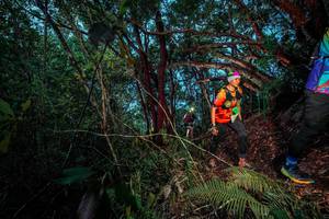 BIB: 
                            <button type="button" onclick="openModal(24786166)" class="btn btn-primary btn-sm float-right btn-popup" data-toggle="modal" data-target=".modal-high-quality">
                        <i class="fas fa-shopping-cart"></i> Add to Cart
                    </button>
                                            <button type="button" onclick="isThisMe(24786166, true)" class="btn btn-success btn-sm float-right btn-popup btn-isme hidden" data-toggle="tooltip" data-placement="bottom" title="นี่คือรูปของคุณใช่ไหม คลิกที่นี่เพื่อเอาเข้าอัลบั้ม">
                        <i class="fas fa-plus"></i> Add to album
                    </button>
                    <button type="button" onclick="isThisMe(24786166, false)" class="btn btn-warning btn-sm float-right btn-popup btn-isnotme hidden">
                        <i class="fas fa-ban"></i> Remove from album
                    </button>