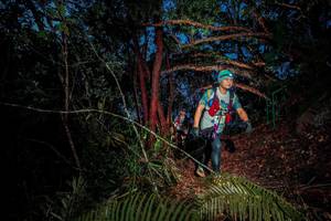 BIB: 
                            <button type="button" onclick="openModal(24789684)" class="btn btn-primary btn-sm float-right btn-popup" data-toggle="modal" data-target=".modal-high-quality">
                        <i class="fas fa-shopping-cart"></i> Add to Cart
                    </button>
                                            <button type="button" onclick="isThisMe(24789684, true)" class="btn btn-success btn-sm float-right btn-popup btn-isme hidden" data-toggle="tooltip" data-placement="bottom" title="นี่คือรูปของคุณใช่ไหม คลิกที่นี่เพื่อเอาเข้าอัลบั้ม">
                        <i class="fas fa-plus"></i> Add to album
                    </button>
                    <button type="button" onclick="isThisMe(24789684, false)" class="btn btn-warning btn-sm float-right btn-popup btn-isnotme hidden">
                        <i class="fas fa-ban"></i> Remove from album
                    </button>