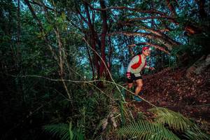 BIB: 
                            <button type="button" onclick="openModal(24786944)" class="btn btn-primary btn-sm float-right btn-popup" data-toggle="modal" data-target=".modal-high-quality">
                        <i class="fas fa-shopping-cart"></i> Add to Cart
                    </button>
                                            <button type="button" onclick="isThisMe(24786944, true)" class="btn btn-success btn-sm float-right btn-popup btn-isme hidden" data-toggle="tooltip" data-placement="bottom" title="นี่คือรูปของคุณใช่ไหม คลิกที่นี่เพื่อเอาเข้าอัลบั้ม">
                        <i class="fas fa-plus"></i> Add to album
                    </button>
                    <button type="button" onclick="isThisMe(24786944, false)" class="btn btn-warning btn-sm float-right btn-popup btn-isnotme hidden">
                        <i class="fas fa-ban"></i> Remove from album
                    </button>