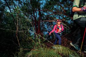 BIB: 
                            <button type="button" onclick="openModal(24783603)" class="btn btn-primary btn-sm float-right btn-popup" data-toggle="modal" data-target=".modal-high-quality">
                        <i class="fas fa-shopping-cart"></i> Add to Cart
                    </button>
                                            <button type="button" onclick="isThisMe(24783603, true)" class="btn btn-success btn-sm float-right btn-popup btn-isme hidden" data-toggle="tooltip" data-placement="bottom" title="นี่คือรูปของคุณใช่ไหม คลิกที่นี่เพื่อเอาเข้าอัลบั้ม">
                        <i class="fas fa-plus"></i> Add to album
                    </button>
                    <button type="button" onclick="isThisMe(24783603, false)" class="btn btn-warning btn-sm float-right btn-popup btn-isnotme hidden">
                        <i class="fas fa-ban"></i> Remove from album
                    </button>