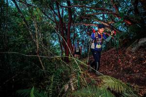 BIB: 
                            <button type="button" onclick="openModal(24787039)" class="btn btn-primary btn-sm float-right btn-popup" data-toggle="modal" data-target=".modal-high-quality">
                        <i class="fas fa-shopping-cart"></i> Add to Cart
                    </button>
                                            <button type="button" onclick="isThisMe(24787039, true)" class="btn btn-success btn-sm float-right btn-popup btn-isme hidden" data-toggle="tooltip" data-placement="bottom" title="นี่คือรูปของคุณใช่ไหม คลิกที่นี่เพื่อเอาเข้าอัลบั้ม">
                        <i class="fas fa-plus"></i> Add to album
                    </button>
                    <button type="button" onclick="isThisMe(24787039, false)" class="btn btn-warning btn-sm float-right btn-popup btn-isnotme hidden">
                        <i class="fas fa-ban"></i> Remove from album
                    </button>