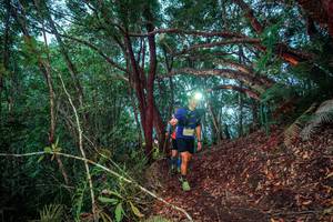 BIB: 
                            <button type="button" onclick="openModal(24781328)" class="btn btn-primary btn-sm float-right btn-popup" data-toggle="modal" data-target=".modal-high-quality">
                        <i class="fas fa-shopping-cart"></i> Add to Cart
                    </button>
                                            <button type="button" onclick="isThisMe(24781328, true)" class="btn btn-success btn-sm float-right btn-popup btn-isme hidden" data-toggle="tooltip" data-placement="bottom" title="นี่คือรูปของคุณใช่ไหม คลิกที่นี่เพื่อเอาเข้าอัลบั้ม">
                        <i class="fas fa-plus"></i> Add to album
                    </button>
                    <button type="button" onclick="isThisMe(24781328, false)" class="btn btn-warning btn-sm float-right btn-popup btn-isnotme hidden">
                        <i class="fas fa-ban"></i> Remove from album
                    </button>