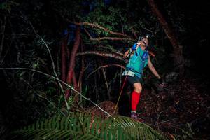 BIB: 
                            <button type="button" onclick="openModal(24783737)" class="btn btn-primary btn-sm float-right btn-popup" data-toggle="modal" data-target=".modal-high-quality">
                        <i class="fas fa-shopping-cart"></i> Add to Cart
                    </button>
                                            <button type="button" onclick="isThisMe(24783737, true)" class="btn btn-success btn-sm float-right btn-popup btn-isme hidden" data-toggle="tooltip" data-placement="bottom" title="นี่คือรูปของคุณใช่ไหม คลิกที่นี่เพื่อเอาเข้าอัลบั้ม">
                        <i class="fas fa-plus"></i> Add to album
                    </button>
                    <button type="button" onclick="isThisMe(24783737, false)" class="btn btn-warning btn-sm float-right btn-popup btn-isnotme hidden">
                        <i class="fas fa-ban"></i> Remove from album
                    </button>