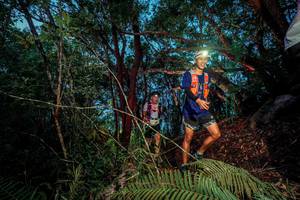 BIB: 
                            <button type="button" onclick="openModal(24784153)" class="btn btn-primary btn-sm float-right btn-popup" data-toggle="modal" data-target=".modal-high-quality">
                        <i class="fas fa-shopping-cart"></i> Add to Cart
                    </button>
                                            <button type="button" onclick="isThisMe(24784153, true)" class="btn btn-success btn-sm float-right btn-popup btn-isme hidden" data-toggle="tooltip" data-placement="bottom" title="นี่คือรูปของคุณใช่ไหม คลิกที่นี่เพื่อเอาเข้าอัลบั้ม">
                        <i class="fas fa-plus"></i> Add to album
                    </button>
                    <button type="button" onclick="isThisMe(24784153, false)" class="btn btn-warning btn-sm float-right btn-popup btn-isnotme hidden">
                        <i class="fas fa-ban"></i> Remove from album
                    </button>