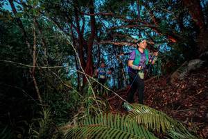 BIB: 
                            <button type="button" onclick="openModal(24784858)" class="btn btn-primary btn-sm float-right btn-popup" data-toggle="modal" data-target=".modal-high-quality">
                        <i class="fas fa-shopping-cart"></i> Add to Cart
                    </button>
                                            <button type="button" onclick="isThisMe(24784858, true)" class="btn btn-success btn-sm float-right btn-popup btn-isme hidden" data-toggle="tooltip" data-placement="bottom" title="นี่คือรูปของคุณใช่ไหม คลิกที่นี่เพื่อเอาเข้าอัลบั้ม">
                        <i class="fas fa-plus"></i> Add to album
                    </button>
                    <button type="button" onclick="isThisMe(24784858, false)" class="btn btn-warning btn-sm float-right btn-popup btn-isnotme hidden">
                        <i class="fas fa-ban"></i> Remove from album
                    </button>