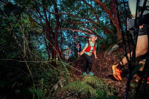 BIB: 
                            <button type="button" onclick="openModal(24785969)" class="btn btn-primary btn-sm float-right btn-popup" data-toggle="modal" data-target=".modal-high-quality">
                        <i class="fas fa-shopping-cart"></i> Add to Cart
                    </button>
                                            <button type="button" onclick="isThisMe(24785969, true)" class="btn btn-success btn-sm float-right btn-popup btn-isme hidden" data-toggle="tooltip" data-placement="bottom" title="นี่คือรูปของคุณใช่ไหม คลิกที่นี่เพื่อเอาเข้าอัลบั้ม">
                        <i class="fas fa-plus"></i> Add to album
                    </button>
                    <button type="button" onclick="isThisMe(24785969, false)" class="btn btn-warning btn-sm float-right btn-popup btn-isnotme hidden">
                        <i class="fas fa-ban"></i> Remove from album
                    </button>