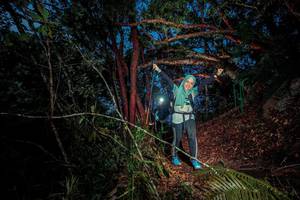 BIB: 
                            <button type="button" onclick="openModal(24789967)" class="btn btn-primary btn-sm float-right btn-popup" data-toggle="modal" data-target=".modal-high-quality">
                        <i class="fas fa-shopping-cart"></i> Add to Cart
                    </button>
                                            <button type="button" onclick="isThisMe(24789967, true)" class="btn btn-success btn-sm float-right btn-popup btn-isme hidden" data-toggle="tooltip" data-placement="bottom" title="นี่คือรูปของคุณใช่ไหม คลิกที่นี่เพื่อเอาเข้าอัลบั้ม">
                        <i class="fas fa-plus"></i> Add to album
                    </button>
                    <button type="button" onclick="isThisMe(24789967, false)" class="btn btn-warning btn-sm float-right btn-popup btn-isnotme hidden">
                        <i class="fas fa-ban"></i> Remove from album
                    </button>