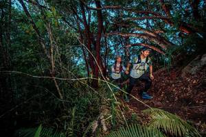 BIB: 
                            <button type="button" onclick="openModal(24786741)" class="btn btn-primary btn-sm float-right btn-popup" data-toggle="modal" data-target=".modal-high-quality">
                        <i class="fas fa-shopping-cart"></i> Add to Cart
                    </button>
                                            <button type="button" onclick="isThisMe(24786741, true)" class="btn btn-success btn-sm float-right btn-popup btn-isme hidden" data-toggle="tooltip" data-placement="bottom" title="นี่คือรูปของคุณใช่ไหม คลิกที่นี่เพื่อเอาเข้าอัลบั้ม">
                        <i class="fas fa-plus"></i> Add to album
                    </button>
                    <button type="button" onclick="isThisMe(24786741, false)" class="btn btn-warning btn-sm float-right btn-popup btn-isnotme hidden">
                        <i class="fas fa-ban"></i> Remove from album
                    </button>