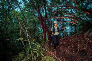 BIB: 
                            <button type="button" onclick="openModal(24788710)" class="btn btn-primary btn-sm float-right btn-popup" data-toggle="modal" data-target=".modal-high-quality">
                        <i class="fas fa-shopping-cart"></i> Add to Cart
                    </button>
                                            <button type="button" onclick="isThisMe(24788710, true)" class="btn btn-success btn-sm float-right btn-popup btn-isme hidden" data-toggle="tooltip" data-placement="bottom" title="นี่คือรูปของคุณใช่ไหม คลิกที่นี่เพื่อเอาเข้าอัลบั้ม">
                        <i class="fas fa-plus"></i> Add to album
                    </button>
                    <button type="button" onclick="isThisMe(24788710, false)" class="btn btn-warning btn-sm float-right btn-popup btn-isnotme hidden">
                        <i class="fas fa-ban"></i> Remove from album
                    </button>