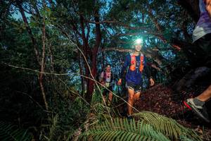 BIB: 
                            <button type="button" onclick="openModal(24784126)" class="btn btn-primary btn-sm float-right btn-popup" data-toggle="modal" data-target=".modal-high-quality">
                        <i class="fas fa-shopping-cart"></i> Add to Cart
                    </button>
                                            <button type="button" onclick="isThisMe(24784126, true)" class="btn btn-success btn-sm float-right btn-popup btn-isme hidden" data-toggle="tooltip" data-placement="bottom" title="นี่คือรูปของคุณใช่ไหม คลิกที่นี่เพื่อเอาเข้าอัลบั้ม">
                        <i class="fas fa-plus"></i> Add to album
                    </button>
                    <button type="button" onclick="isThisMe(24784126, false)" class="btn btn-warning btn-sm float-right btn-popup btn-isnotme hidden">
                        <i class="fas fa-ban"></i> Remove from album
                    </button>