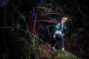 BIB: 
                            <button type="button" onclick="openModal(24785646)" class="btn btn-primary btn-sm float-right btn-popup" data-toggle="modal" data-target=".modal-high-quality">
                        <i class="fas fa-shopping-cart"></i> Add to Cart
                    </button>
                                            <button type="button" onclick="isThisMe(24785646, true)" class="btn btn-success btn-sm float-right btn-popup btn-isme hidden" data-toggle="tooltip" data-placement="bottom" title="นี่คือรูปของคุณใช่ไหม คลิกที่นี่เพื่อเอาเข้าอัลบั้ม">
                        <i class="fas fa-plus"></i> Add to album
                    </button>
                    <button type="button" onclick="isThisMe(24785646, false)" class="btn btn-warning btn-sm float-right btn-popup btn-isnotme hidden">
                        <i class="fas fa-ban"></i> Remove from album
                    </button>