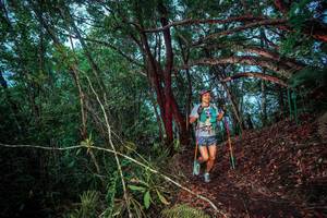 BIB: 
                            <button type="button" onclick="openModal(24789392)" class="btn btn-primary btn-sm float-right btn-popup" data-toggle="modal" data-target=".modal-high-quality">
                        <i class="fas fa-shopping-cart"></i> Add to Cart
                    </button>
                                            <button type="button" onclick="isThisMe(24789392, true)" class="btn btn-success btn-sm float-right btn-popup btn-isme hidden" data-toggle="tooltip" data-placement="bottom" title="นี่คือรูปของคุณใช่ไหม คลิกที่นี่เพื่อเอาเข้าอัลบั้ม">
                        <i class="fas fa-plus"></i> Add to album
                    </button>
                    <button type="button" onclick="isThisMe(24789392, false)" class="btn btn-warning btn-sm float-right btn-popup btn-isnotme hidden">
                        <i class="fas fa-ban"></i> Remove from album
                    </button>