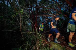 BIB: 
                            <button type="button" onclick="openModal(24782712)" class="btn btn-primary btn-sm float-right btn-popup" data-toggle="modal" data-target=".modal-high-quality">
                        <i class="fas fa-shopping-cart"></i> Add to Cart
                    </button>
                                            <button type="button" onclick="isThisMe(24782712, true)" class="btn btn-success btn-sm float-right btn-popup btn-isme hidden" data-toggle="tooltip" data-placement="bottom" title="นี่คือรูปของคุณใช่ไหม คลิกที่นี่เพื่อเอาเข้าอัลบั้ม">
                        <i class="fas fa-plus"></i> Add to album
                    </button>
                    <button type="button" onclick="isThisMe(24782712, false)" class="btn btn-warning btn-sm float-right btn-popup btn-isnotme hidden">
                        <i class="fas fa-ban"></i> Remove from album
                    </button>