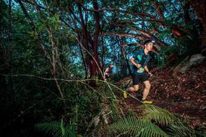 BIB: 
                            <button type="button" onclick="openModal(24786911)" class="btn btn-primary btn-sm float-right btn-popup" data-toggle="modal" data-target=".modal-high-quality">
                        <i class="fas fa-shopping-cart"></i> Add to Cart
                    </button>
                                            <button type="button" onclick="isThisMe(24786911, true)" class="btn btn-success btn-sm float-right btn-popup btn-isme hidden" data-toggle="tooltip" data-placement="bottom" title="นี่คือรูปของคุณใช่ไหม คลิกที่นี่เพื่อเอาเข้าอัลบั้ม">
                        <i class="fas fa-plus"></i> Add to album
                    </button>
                    <button type="button" onclick="isThisMe(24786911, false)" class="btn btn-warning btn-sm float-right btn-popup btn-isnotme hidden">
                        <i class="fas fa-ban"></i> Remove from album
                    </button>