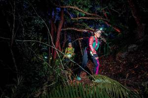 BIB: 
                            <button type="button" onclick="openModal(24784999)" class="btn btn-primary btn-sm float-right btn-popup" data-toggle="modal" data-target=".modal-high-quality">
                        <i class="fas fa-shopping-cart"></i> Add to Cart
                    </button>
                                            <button type="button" onclick="isThisMe(24784999, true)" class="btn btn-success btn-sm float-right btn-popup btn-isme hidden" data-toggle="tooltip" data-placement="bottom" title="นี่คือรูปของคุณใช่ไหม คลิกที่นี่เพื่อเอาเข้าอัลบั้ม">
                        <i class="fas fa-plus"></i> Add to album
                    </button>
                    <button type="button" onclick="isThisMe(24784999, false)" class="btn btn-warning btn-sm float-right btn-popup btn-isnotme hidden">
                        <i class="fas fa-ban"></i> Remove from album
                    </button>