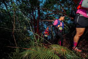 BIB: 
                            <button type="button" onclick="openModal(24782809)" class="btn btn-primary btn-sm float-right btn-popup" data-toggle="modal" data-target=".modal-high-quality">
                        <i class="fas fa-shopping-cart"></i> Add to Cart
                    </button>
                                            <button type="button" onclick="isThisMe(24782809, true)" class="btn btn-success btn-sm float-right btn-popup btn-isme hidden" data-toggle="tooltip" data-placement="bottom" title="นี่คือรูปของคุณใช่ไหม คลิกที่นี่เพื่อเอาเข้าอัลบั้ม">
                        <i class="fas fa-plus"></i> Add to album
                    </button>
                    <button type="button" onclick="isThisMe(24782809, false)" class="btn btn-warning btn-sm float-right btn-popup btn-isnotme hidden">
                        <i class="fas fa-ban"></i> Remove from album
                    </button>