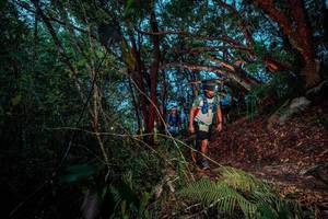 BIB: 
                            <button type="button" onclick="openModal(24785892)" class="btn btn-primary btn-sm float-right btn-popup" data-toggle="modal" data-target=".modal-high-quality">
                        <i class="fas fa-shopping-cart"></i> Add to Cart
                    </button>
                                            <button type="button" onclick="isThisMe(24785892, true)" class="btn btn-success btn-sm float-right btn-popup btn-isme hidden" data-toggle="tooltip" data-placement="bottom" title="นี่คือรูปของคุณใช่ไหม คลิกที่นี่เพื่อเอาเข้าอัลบั้ม">
                        <i class="fas fa-plus"></i> Add to album
                    </button>
                    <button type="button" onclick="isThisMe(24785892, false)" class="btn btn-warning btn-sm float-right btn-popup btn-isnotme hidden">
                        <i class="fas fa-ban"></i> Remove from album
                    </button>