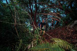 BIB: 
                            <button type="button" onclick="openModal(24785650)" class="btn btn-primary btn-sm float-right btn-popup" data-toggle="modal" data-target=".modal-high-quality">
                        <i class="fas fa-shopping-cart"></i> Add to Cart
                    </button>
                                            <button type="button" onclick="isThisMe(24785650, true)" class="btn btn-success btn-sm float-right btn-popup btn-isme hidden" data-toggle="tooltip" data-placement="bottom" title="นี่คือรูปของคุณใช่ไหม คลิกที่นี่เพื่อเอาเข้าอัลบั้ม">
                        <i class="fas fa-plus"></i> Add to album
                    </button>
                    <button type="button" onclick="isThisMe(24785650, false)" class="btn btn-warning btn-sm float-right btn-popup btn-isnotme hidden">
                        <i class="fas fa-ban"></i> Remove from album
                    </button>