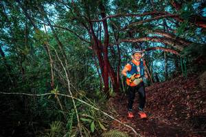 BIB: 
                            <button type="button" onclick="openModal(24789198)" class="btn btn-primary btn-sm float-right btn-popup" data-toggle="modal" data-target=".modal-high-quality">
                        <i class="fas fa-shopping-cart"></i> Add to Cart
                    </button>
                                            <button type="button" onclick="isThisMe(24789198, true)" class="btn btn-success btn-sm float-right btn-popup btn-isme hidden" data-toggle="tooltip" data-placement="bottom" title="นี่คือรูปของคุณใช่ไหม คลิกที่นี่เพื่อเอาเข้าอัลบั้ม">
                        <i class="fas fa-plus"></i> Add to album
                    </button>
                    <button type="button" onclick="isThisMe(24789198, false)" class="btn btn-warning btn-sm float-right btn-popup btn-isnotme hidden">
                        <i class="fas fa-ban"></i> Remove from album
                    </button>