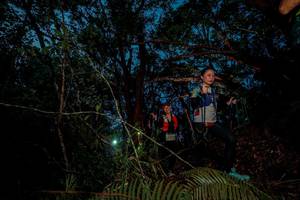 BIB: 
                            <button type="button" onclick="openModal(24782503)" class="btn btn-primary btn-sm float-right btn-popup" data-toggle="modal" data-target=".modal-high-quality">
                        <i class="fas fa-shopping-cart"></i> Add to Cart
                    </button>
                                            <button type="button" onclick="isThisMe(24782503, true)" class="btn btn-success btn-sm float-right btn-popup btn-isme hidden" data-toggle="tooltip" data-placement="bottom" title="นี่คือรูปของคุณใช่ไหม คลิกที่นี่เพื่อเอาเข้าอัลบั้ม">
                        <i class="fas fa-plus"></i> Add to album
                    </button>
                    <button type="button" onclick="isThisMe(24782503, false)" class="btn btn-warning btn-sm float-right btn-popup btn-isnotme hidden">
                        <i class="fas fa-ban"></i> Remove from album
                    </button>