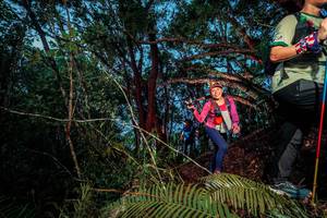 BIB: 
                            <button type="button" onclick="openModal(24783573)" class="btn btn-primary btn-sm float-right btn-popup" data-toggle="modal" data-target=".modal-high-quality">
                        <i class="fas fa-shopping-cart"></i> Add to Cart
                    </button>
                                            <button type="button" onclick="isThisMe(24783573, true)" class="btn btn-success btn-sm float-right btn-popup btn-isme hidden" data-toggle="tooltip" data-placement="bottom" title="นี่คือรูปของคุณใช่ไหม คลิกที่นี่เพื่อเอาเข้าอัลบั้ม">
                        <i class="fas fa-plus"></i> Add to album
                    </button>
                    <button type="button" onclick="isThisMe(24783573, false)" class="btn btn-warning btn-sm float-right btn-popup btn-isnotme hidden">
                        <i class="fas fa-ban"></i> Remove from album
                    </button>