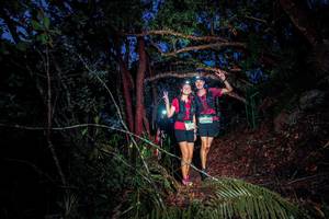 BIB: 
                            <button type="button" onclick="openModal(24787809)" class="btn btn-primary btn-sm float-right btn-popup" data-toggle="modal" data-target=".modal-high-quality">
                        <i class="fas fa-shopping-cart"></i> Add to Cart
                    </button>
                                            <button type="button" onclick="isThisMe(24787809, true)" class="btn btn-success btn-sm float-right btn-popup btn-isme hidden" data-toggle="tooltip" data-placement="bottom" title="นี่คือรูปของคุณใช่ไหม คลิกที่นี่เพื่อเอาเข้าอัลบั้ม">
                        <i class="fas fa-plus"></i> Add to album
                    </button>
                    <button type="button" onclick="isThisMe(24787809, false)" class="btn btn-warning btn-sm float-right btn-popup btn-isnotme hidden">
                        <i class="fas fa-ban"></i> Remove from album
                    </button>