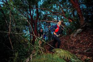 BIB: 
                            <button type="button" onclick="openModal(24785625)" class="btn btn-primary btn-sm float-right btn-popup" data-toggle="modal" data-target=".modal-high-quality">
                        <i class="fas fa-shopping-cart"></i> Add to Cart
                    </button>
                                            <button type="button" onclick="isThisMe(24785625, true)" class="btn btn-success btn-sm float-right btn-popup btn-isme hidden" data-toggle="tooltip" data-placement="bottom" title="นี่คือรูปของคุณใช่ไหม คลิกที่นี่เพื่อเอาเข้าอัลบั้ม">
                        <i class="fas fa-plus"></i> Add to album
                    </button>
                    <button type="button" onclick="isThisMe(24785625, false)" class="btn btn-warning btn-sm float-right btn-popup btn-isnotme hidden">
                        <i class="fas fa-ban"></i> Remove from album
                    </button>