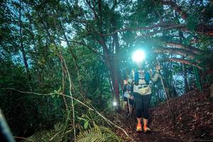 BIB: 
                            <button type="button" onclick="openModal(24788009)" class="btn btn-primary btn-sm float-right btn-popup" data-toggle="modal" data-target=".modal-high-quality">
                        <i class="fas fa-shopping-cart"></i> Add to Cart
                    </button>
                                            <button type="button" onclick="isThisMe(24788009, true)" class="btn btn-success btn-sm float-right btn-popup btn-isme hidden" data-toggle="tooltip" data-placement="bottom" title="นี่คือรูปของคุณใช่ไหม คลิกที่นี่เพื่อเอาเข้าอัลบั้ม">
                        <i class="fas fa-plus"></i> Add to album
                    </button>
                    <button type="button" onclick="isThisMe(24788009, false)" class="btn btn-warning btn-sm float-right btn-popup btn-isnotme hidden">
                        <i class="fas fa-ban"></i> Remove from album
                    </button>