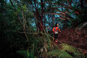 BIB: 
                            <button type="button" onclick="openModal(24786836)" class="btn btn-primary btn-sm float-right btn-popup" data-toggle="modal" data-target=".modal-high-quality">
                        <i class="fas fa-shopping-cart"></i> Add to Cart
                    </button>
                                            <button type="button" onclick="isThisMe(24786836, true)" class="btn btn-success btn-sm float-right btn-popup btn-isme hidden" data-toggle="tooltip" data-placement="bottom" title="นี่คือรูปของคุณใช่ไหม คลิกที่นี่เพื่อเอาเข้าอัลบั้ม">
                        <i class="fas fa-plus"></i> Add to album
                    </button>
                    <button type="button" onclick="isThisMe(24786836, false)" class="btn btn-warning btn-sm float-right btn-popup btn-isnotme hidden">
                        <i class="fas fa-ban"></i> Remove from album
                    </button>