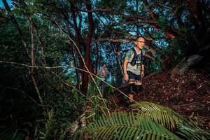 BIB: 
                            <button type="button" onclick="openModal(24785240)" class="btn btn-primary btn-sm float-right btn-popup" data-toggle="modal" data-target=".modal-high-quality">
                        <i class="fas fa-shopping-cart"></i> Add to Cart
                    </button>
                                            <button type="button" onclick="isThisMe(24785240, true)" class="btn btn-success btn-sm float-right btn-popup btn-isme hidden" data-toggle="tooltip" data-placement="bottom" title="นี่คือรูปของคุณใช่ไหม คลิกที่นี่เพื่อเอาเข้าอัลบั้ม">
                        <i class="fas fa-plus"></i> Add to album
                    </button>
                    <button type="button" onclick="isThisMe(24785240, false)" class="btn btn-warning btn-sm float-right btn-popup btn-isnotme hidden">
                        <i class="fas fa-ban"></i> Remove from album
                    </button>