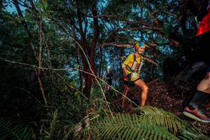 BIB: 
                            <button type="button" onclick="openModal(24784518)" class="btn btn-primary btn-sm float-right btn-popup" data-toggle="modal" data-target=".modal-high-quality">
                        <i class="fas fa-shopping-cart"></i> Add to Cart
                    </button>
                                            <button type="button" onclick="isThisMe(24784518, true)" class="btn btn-success btn-sm float-right btn-popup btn-isme hidden" data-toggle="tooltip" data-placement="bottom" title="นี่คือรูปของคุณใช่ไหม คลิกที่นี่เพื่อเอาเข้าอัลบั้ม">
                        <i class="fas fa-plus"></i> Add to album
                    </button>
                    <button type="button" onclick="isThisMe(24784518, false)" class="btn btn-warning btn-sm float-right btn-popup btn-isnotme hidden">
                        <i class="fas fa-ban"></i> Remove from album
                    </button>