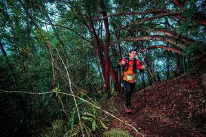 BIB: 
                            <button type="button" onclick="openModal(24789414)" class="btn btn-primary btn-sm float-right btn-popup" data-toggle="modal" data-target=".modal-high-quality">
                        <i class="fas fa-shopping-cart"></i> Add to Cart
                    </button>
                                            <button type="button" onclick="isThisMe(24789414, true)" class="btn btn-success btn-sm float-right btn-popup btn-isme hidden" data-toggle="tooltip" data-placement="bottom" title="นี่คือรูปของคุณใช่ไหม คลิกที่นี่เพื่อเอาเข้าอัลบั้ม">
                        <i class="fas fa-plus"></i> Add to album
                    </button>
                    <button type="button" onclick="isThisMe(24789414, false)" class="btn btn-warning btn-sm float-right btn-popup btn-isnotme hidden">
                        <i class="fas fa-ban"></i> Remove from album
                    </button>