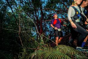 BIB: 
                            <button type="button" onclick="openModal(24784043)" class="btn btn-primary btn-sm float-right btn-popup" data-toggle="modal" data-target=".modal-high-quality">
                        <i class="fas fa-shopping-cart"></i> Add to Cart
                    </button>
                                            <button type="button" onclick="isThisMe(24784043, true)" class="btn btn-success btn-sm float-right btn-popup btn-isme hidden" data-toggle="tooltip" data-placement="bottom" title="นี่คือรูปของคุณใช่ไหม คลิกที่นี่เพื่อเอาเข้าอัลบั้ม">
                        <i class="fas fa-plus"></i> Add to album
                    </button>
                    <button type="button" onclick="isThisMe(24784043, false)" class="btn btn-warning btn-sm float-right btn-popup btn-isnotme hidden">
                        <i class="fas fa-ban"></i> Remove from album
                    </button>