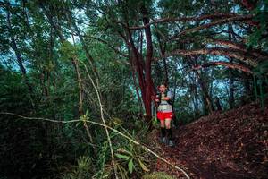 BIB: 
                            <button type="button" onclick="openModal(24789231)" class="btn btn-primary btn-sm float-right btn-popup" data-toggle="modal" data-target=".modal-high-quality">
                        <i class="fas fa-shopping-cart"></i> Add to Cart
                    </button>
                                            <button type="button" onclick="isThisMe(24789231, true)" class="btn btn-success btn-sm float-right btn-popup btn-isme hidden" data-toggle="tooltip" data-placement="bottom" title="นี่คือรูปของคุณใช่ไหม คลิกที่นี่เพื่อเอาเข้าอัลบั้ม">
                        <i class="fas fa-plus"></i> Add to album
                    </button>
                    <button type="button" onclick="isThisMe(24789231, false)" class="btn btn-warning btn-sm float-right btn-popup btn-isnotme hidden">
                        <i class="fas fa-ban"></i> Remove from album
                    </button>