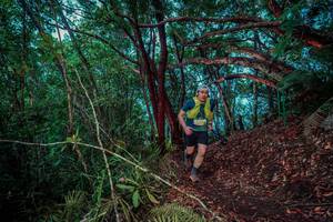 BIB: 
                            <button type="button" onclick="openModal(24781606)" class="btn btn-primary btn-sm float-right btn-popup" data-toggle="modal" data-target=".modal-high-quality">
                        <i class="fas fa-shopping-cart"></i> Add to Cart
                    </button>
                                            <button type="button" onclick="isThisMe(24781606, true)" class="btn btn-success btn-sm float-right btn-popup btn-isme hidden" data-toggle="tooltip" data-placement="bottom" title="นี่คือรูปของคุณใช่ไหม คลิกที่นี่เพื่อเอาเข้าอัลบั้ม">
                        <i class="fas fa-plus"></i> Add to album
                    </button>
                    <button type="button" onclick="isThisMe(24781606, false)" class="btn btn-warning btn-sm float-right btn-popup btn-isnotme hidden">
                        <i class="fas fa-ban"></i> Remove from album
                    </button>