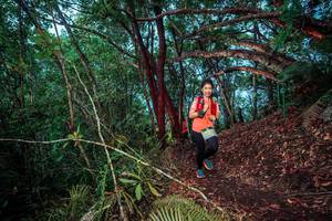 BIB: 
                            <button type="button" onclick="openModal(24781022)" class="btn btn-primary btn-sm float-right btn-popup" data-toggle="modal" data-target=".modal-high-quality">
                        <i class="fas fa-shopping-cart"></i> Add to Cart
                    </button>
                                            <button type="button" onclick="isThisMe(24781022, true)" class="btn btn-success btn-sm float-right btn-popup btn-isme hidden" data-toggle="tooltip" data-placement="bottom" title="นี่คือรูปของคุณใช่ไหม คลิกที่นี่เพื่อเอาเข้าอัลบั้ม">
                        <i class="fas fa-plus"></i> Add to album
                    </button>
                    <button type="button" onclick="isThisMe(24781022, false)" class="btn btn-warning btn-sm float-right btn-popup btn-isnotme hidden">
                        <i class="fas fa-ban"></i> Remove from album
                    </button>