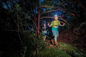 BIB: 
                            <button type="button" onclick="openModal(24789333)" class="btn btn-primary btn-sm float-right btn-popup" data-toggle="modal" data-target=".modal-high-quality">
                        <i class="fas fa-shopping-cart"></i> Add to Cart
                    </button>
                                            <button type="button" onclick="isThisMe(24789333, true)" class="btn btn-success btn-sm float-right btn-popup btn-isme hidden" data-toggle="tooltip" data-placement="bottom" title="นี่คือรูปของคุณใช่ไหม คลิกที่นี่เพื่อเอาเข้าอัลบั้ม">
                        <i class="fas fa-plus"></i> Add to album
                    </button>
                    <button type="button" onclick="isThisMe(24789333, false)" class="btn btn-warning btn-sm float-right btn-popup btn-isnotme hidden">
                        <i class="fas fa-ban"></i> Remove from album
                    </button>