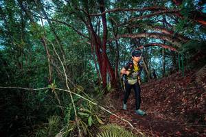 BIB: 
                            <button type="button" onclick="openModal(24789526)" class="btn btn-primary btn-sm float-right btn-popup" data-toggle="modal" data-target=".modal-high-quality">
                        <i class="fas fa-shopping-cart"></i> Add to Cart
                    </button>
                                            <button type="button" onclick="isThisMe(24789526, true)" class="btn btn-success btn-sm float-right btn-popup btn-isme hidden" data-toggle="tooltip" data-placement="bottom" title="นี่คือรูปของคุณใช่ไหม คลิกที่นี่เพื่อเอาเข้าอัลบั้ม">
                        <i class="fas fa-plus"></i> Add to album
                    </button>
                    <button type="button" onclick="isThisMe(24789526, false)" class="btn btn-warning btn-sm float-right btn-popup btn-isnotme hidden">
                        <i class="fas fa-ban"></i> Remove from album
                    </button>