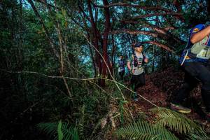 BIB: 
                            <button type="button" onclick="openModal(24787608)" class="btn btn-primary btn-sm float-right btn-popup" data-toggle="modal" data-target=".modal-high-quality">
                        <i class="fas fa-shopping-cart"></i> Add to Cart
                    </button>
                                            <button type="button" onclick="isThisMe(24787608, true)" class="btn btn-success btn-sm float-right btn-popup btn-isme hidden" data-toggle="tooltip" data-placement="bottom" title="นี่คือรูปของคุณใช่ไหม คลิกที่นี่เพื่อเอาเข้าอัลบั้ม">
                        <i class="fas fa-plus"></i> Add to album
                    </button>
                    <button type="button" onclick="isThisMe(24787608, false)" class="btn btn-warning btn-sm float-right btn-popup btn-isnotme hidden">
                        <i class="fas fa-ban"></i> Remove from album
                    </button>