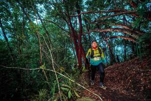 BIB: 
                            <button type="button" onclick="openModal(24789262)" class="btn btn-primary btn-sm float-right btn-popup" data-toggle="modal" data-target=".modal-high-quality">
                        <i class="fas fa-shopping-cart"></i> Add to Cart
                    </button>
                                            <button type="button" onclick="isThisMe(24789262, true)" class="btn btn-success btn-sm float-right btn-popup btn-isme hidden" data-toggle="tooltip" data-placement="bottom" title="นี่คือรูปของคุณใช่ไหม คลิกที่นี่เพื่อเอาเข้าอัลบั้ม">
                        <i class="fas fa-plus"></i> Add to album
                    </button>
                    <button type="button" onclick="isThisMe(24789262, false)" class="btn btn-warning btn-sm float-right btn-popup btn-isnotme hidden">
                        <i class="fas fa-ban"></i> Remove from album
                    </button>