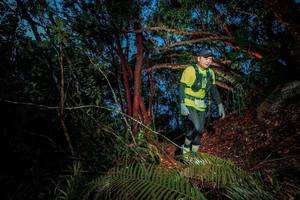 BIB: 
                            <button type="button" onclick="openModal(24781866)" class="btn btn-primary btn-sm float-right btn-popup" data-toggle="modal" data-target=".modal-high-quality">
                        <i class="fas fa-shopping-cart"></i> Add to Cart
                    </button>
                                            <button type="button" onclick="isThisMe(24781866, true)" class="btn btn-success btn-sm float-right btn-popup btn-isme hidden" data-toggle="tooltip" data-placement="bottom" title="นี่คือรูปของคุณใช่ไหม คลิกที่นี่เพื่อเอาเข้าอัลบั้ม">
                        <i class="fas fa-plus"></i> Add to album
                    </button>
                    <button type="button" onclick="isThisMe(24781866, false)" class="btn btn-warning btn-sm float-right btn-popup btn-isnotme hidden">
                        <i class="fas fa-ban"></i> Remove from album
                    </button>