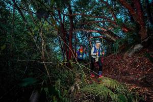 BIB: 
                            <button type="button" onclick="openModal(24786117)" class="btn btn-primary btn-sm float-right btn-popup" data-toggle="modal" data-target=".modal-high-quality">
                        <i class="fas fa-shopping-cart"></i> Add to Cart
                    </button>
                                            <button type="button" onclick="isThisMe(24786117, true)" class="btn btn-success btn-sm float-right btn-popup btn-isme hidden" data-toggle="tooltip" data-placement="bottom" title="นี่คือรูปของคุณใช่ไหม คลิกที่นี่เพื่อเอาเข้าอัลบั้ม">
                        <i class="fas fa-plus"></i> Add to album
                    </button>
                    <button type="button" onclick="isThisMe(24786117, false)" class="btn btn-warning btn-sm float-right btn-popup btn-isnotme hidden">
                        <i class="fas fa-ban"></i> Remove from album
                    </button>