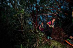 BIB: 
                            <button type="button" onclick="openModal(24782731)" class="btn btn-primary btn-sm float-right btn-popup" data-toggle="modal" data-target=".modal-high-quality">
                        <i class="fas fa-shopping-cart"></i> Add to Cart
                    </button>
                                            <button type="button" onclick="isThisMe(24782731, true)" class="btn btn-success btn-sm float-right btn-popup btn-isme hidden" data-toggle="tooltip" data-placement="bottom" title="นี่คือรูปของคุณใช่ไหม คลิกที่นี่เพื่อเอาเข้าอัลบั้ม">
                        <i class="fas fa-plus"></i> Add to album
                    </button>
                    <button type="button" onclick="isThisMe(24782731, false)" class="btn btn-warning btn-sm float-right btn-popup btn-isnotme hidden">
                        <i class="fas fa-ban"></i> Remove from album
                    </button>