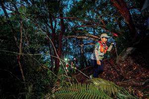 BIB: 
                            <button type="button" onclick="openModal(24782886)" class="btn btn-primary btn-sm float-right btn-popup" data-toggle="modal" data-target=".modal-high-quality">
                        <i class="fas fa-shopping-cart"></i> Add to Cart
                    </button>
                                            <button type="button" onclick="isThisMe(24782886, true)" class="btn btn-success btn-sm float-right btn-popup btn-isme hidden" data-toggle="tooltip" data-placement="bottom" title="นี่คือรูปของคุณใช่ไหม คลิกที่นี่เพื่อเอาเข้าอัลบั้ม">
                        <i class="fas fa-plus"></i> Add to album
                    </button>
                    <button type="button" onclick="isThisMe(24782886, false)" class="btn btn-warning btn-sm float-right btn-popup btn-isnotme hidden">
                        <i class="fas fa-ban"></i> Remove from album
                    </button>