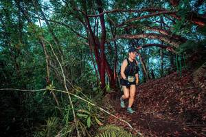 BIB: 
                            <button type="button" onclick="openModal(24789546)" class="btn btn-primary btn-sm float-right btn-popup" data-toggle="modal" data-target=".modal-high-quality">
                        <i class="fas fa-shopping-cart"></i> Add to Cart
                    </button>
                                            <button type="button" onclick="isThisMe(24789546, true)" class="btn btn-success btn-sm float-right btn-popup btn-isme hidden" data-toggle="tooltip" data-placement="bottom" title="นี่คือรูปของคุณใช่ไหม คลิกที่นี่เพื่อเอาเข้าอัลบั้ม">
                        <i class="fas fa-plus"></i> Add to album
                    </button>
                    <button type="button" onclick="isThisMe(24789546, false)" class="btn btn-warning btn-sm float-right btn-popup btn-isnotme hidden">
                        <i class="fas fa-ban"></i> Remove from album
                    </button>